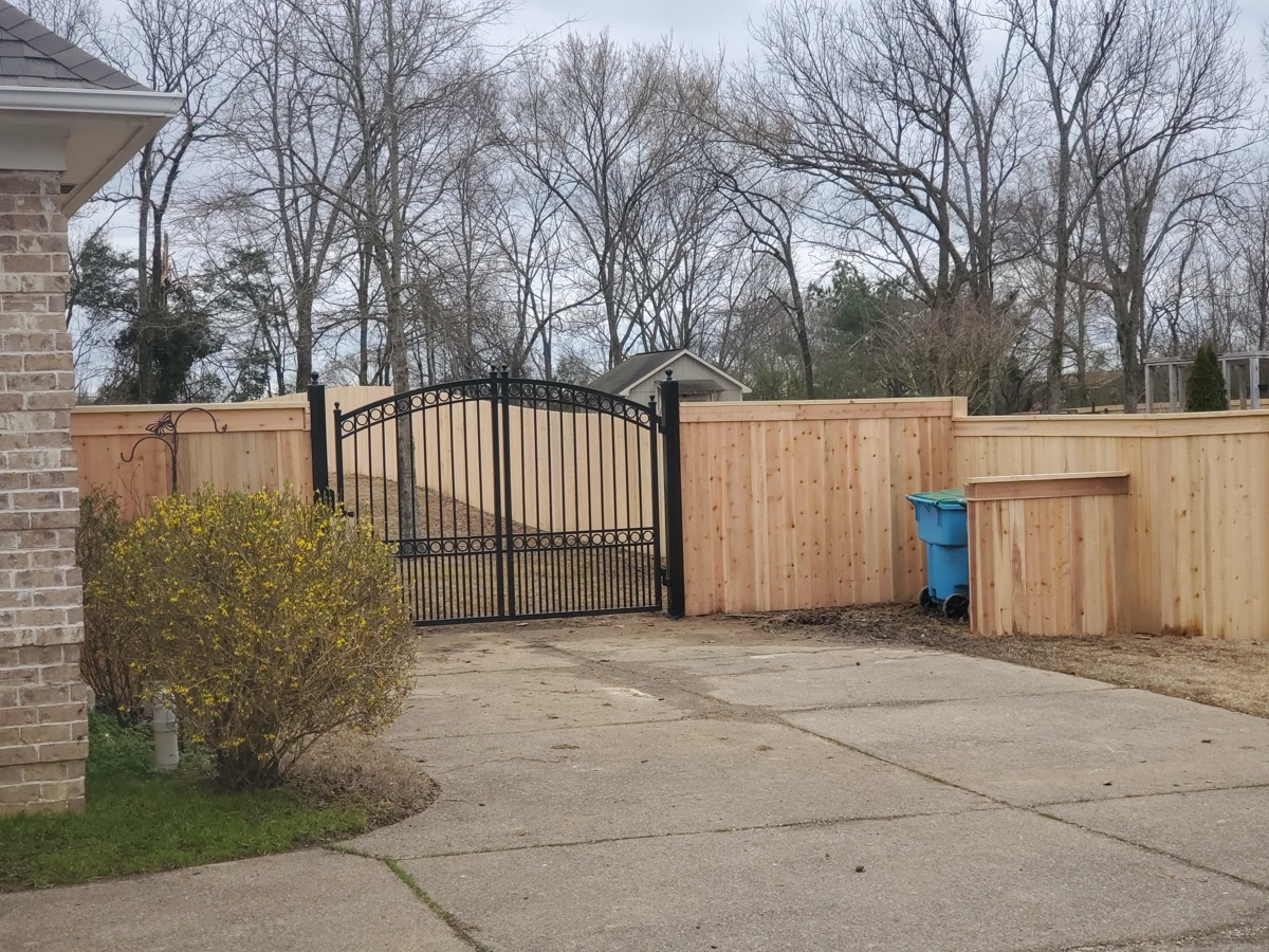 Iron double gate with arched top and cedar privacy fence