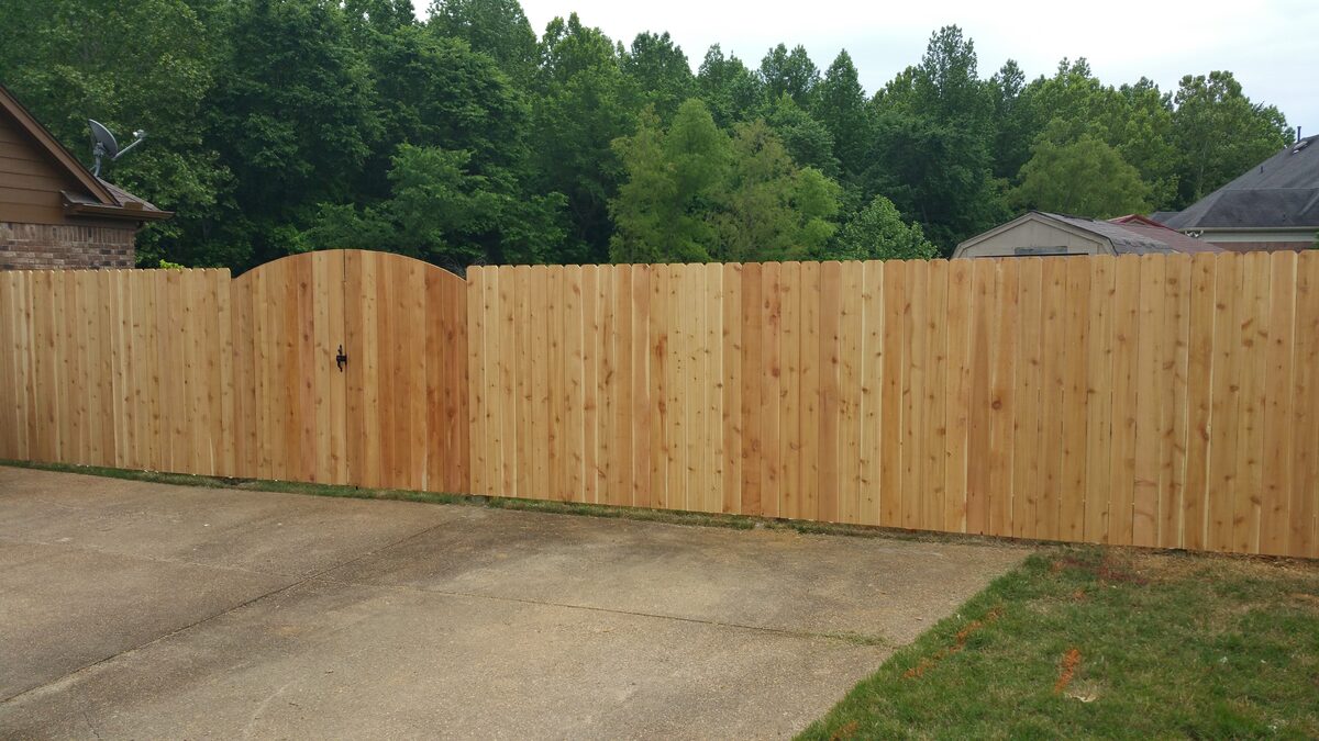 Western cedar dog-ear fence with arched walk gate along driveway