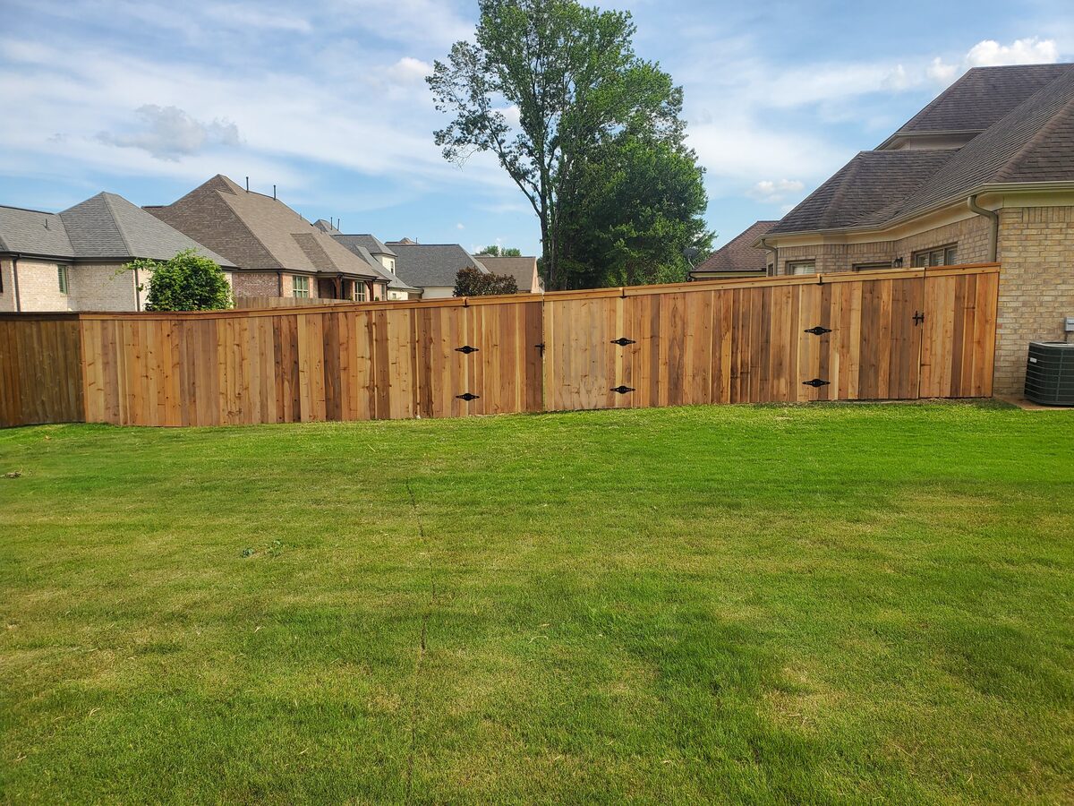 Western cedar cap-and-fascia fence with double gates