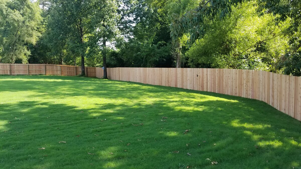 Long curving run of western cedar fence across open lawn