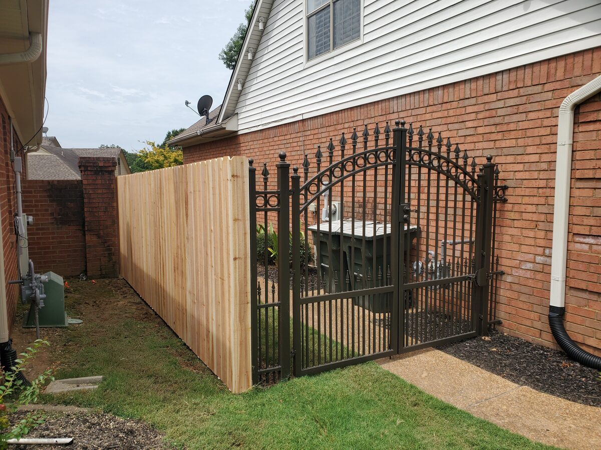 Arched wrought iron gate paired with western cedar fence