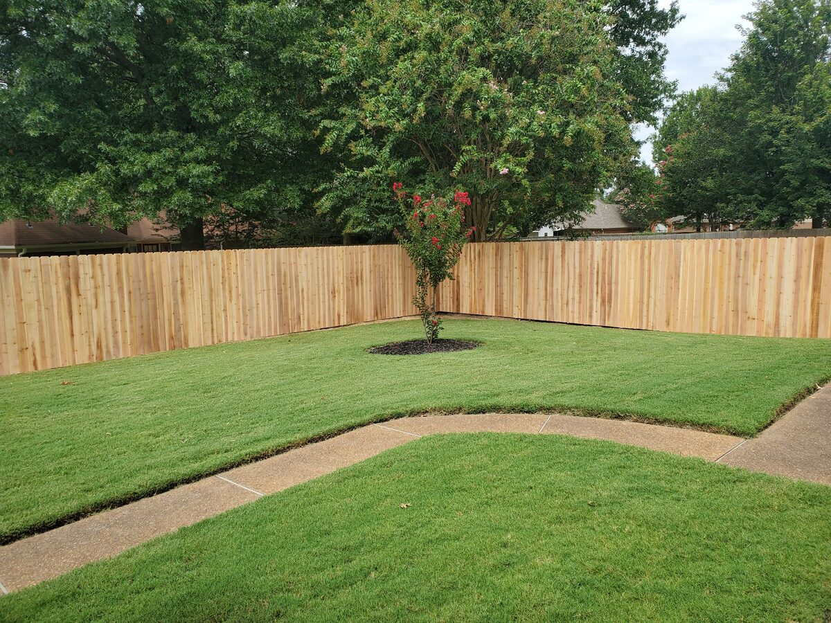Western cedar fence corner with fresh sod and crape myrtle