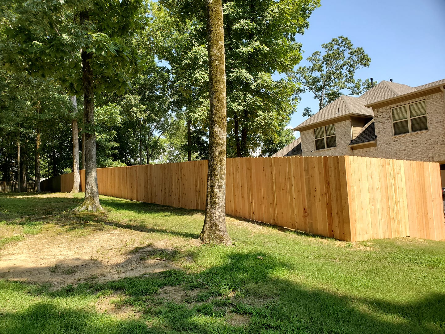 New wood privacy fence on wooded lot with large trees