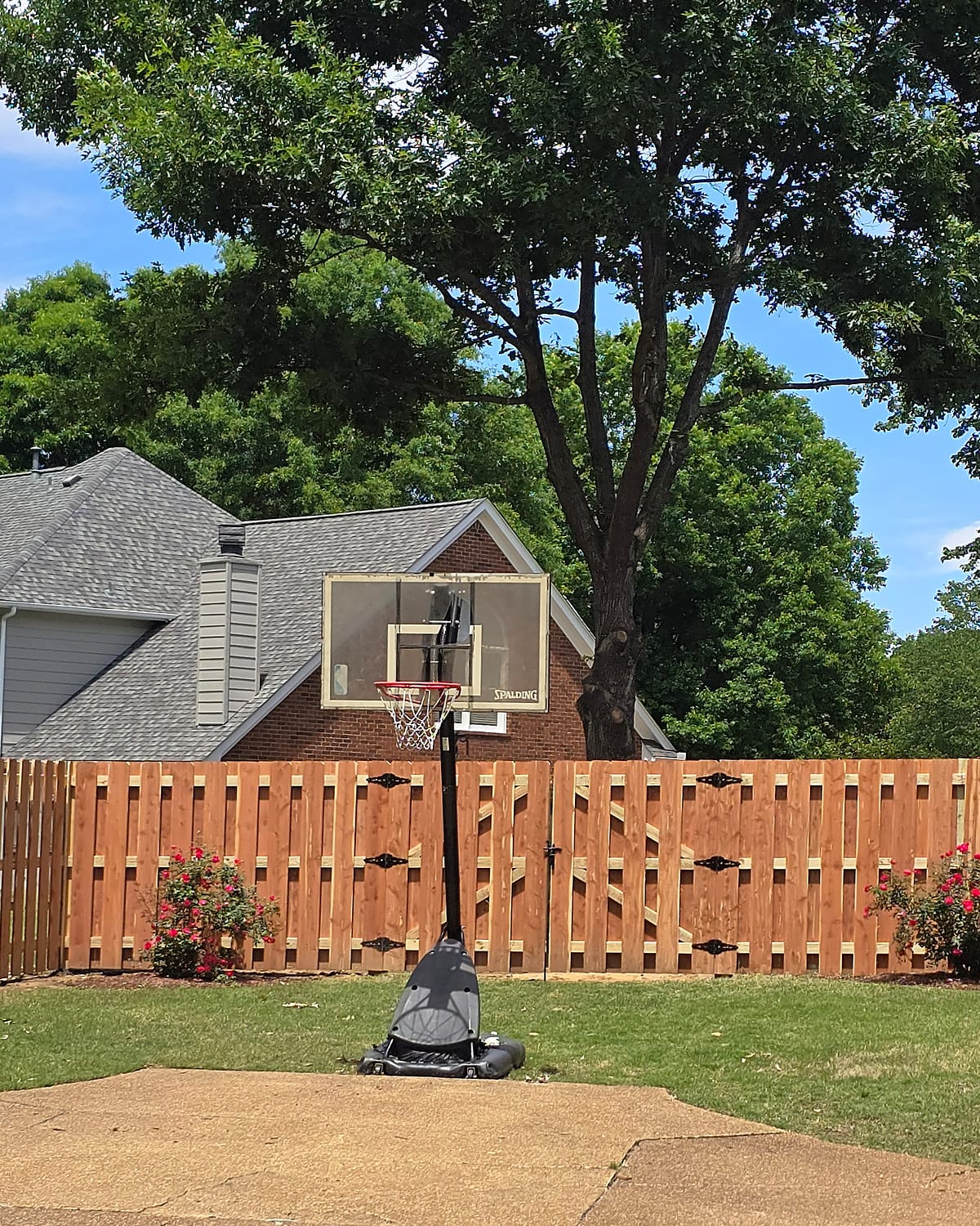 Cedar fence and gate with decorative inserts along a family backyard